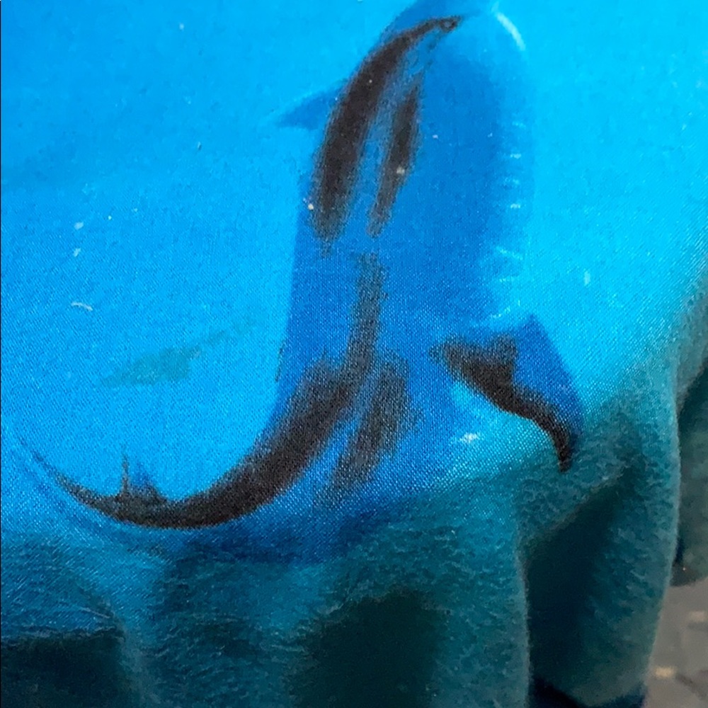 Meet your Posher, Chandra